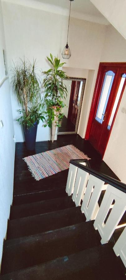 Villa Cvetic Selce Ngoại thất bức ảnh
